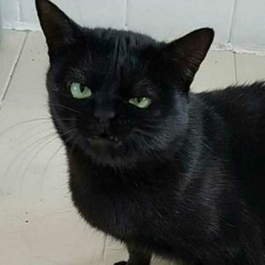 Meet your Posher, Victoria